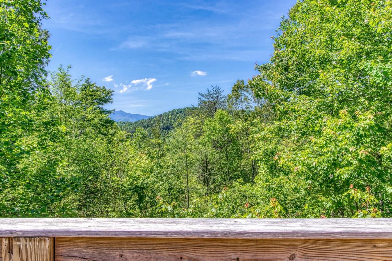Memorable "Deer & Doe" By Honeybearcabins 4Br 3Ba, Mountain View Deck, Farmhouse Decor, Fireplace, 3 Acres 塞维尔维尔 外观 照片